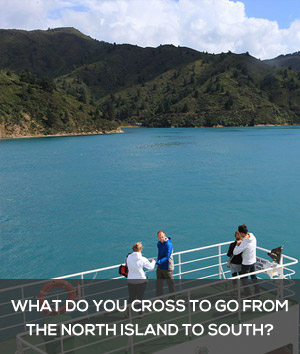 Famous New Zealand Attractions Picture Quiz Image 17