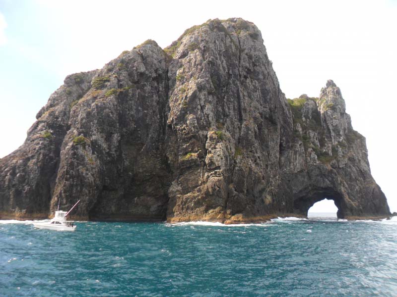 The Hole in the Rock, Bay of Islands