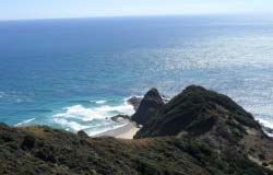  View from Cape Reinga