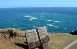 The meeting of the Tasman Sea and Pacific Ocean