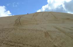 Sand dunes at Ninety Mile Beach