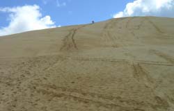 Sand dunes at Ninety Mile Beach
