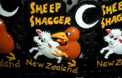 Sheep shagger magnet!