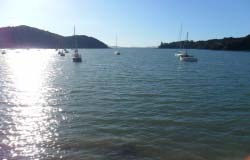 View from Mangonui Fish Shop