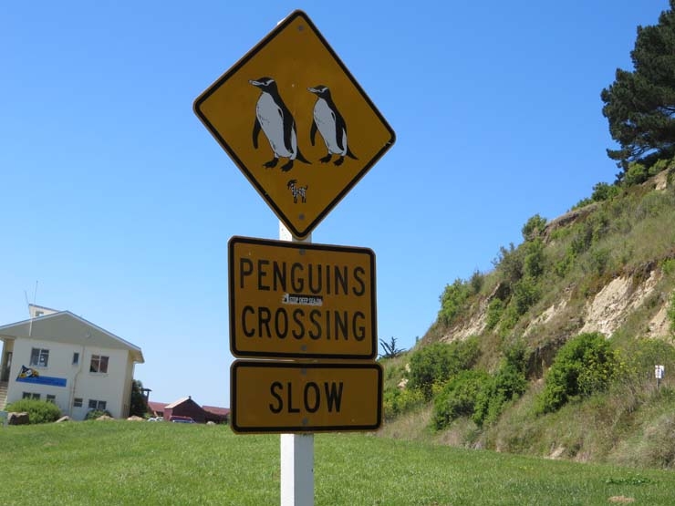 Penguins crossing sign in Oamaru