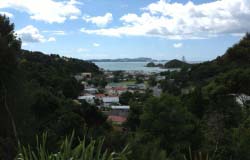Another one of the amazing view in Paihia!