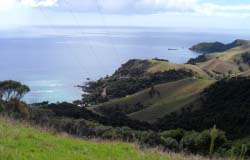 View from Tourist Drive near Matauri Bay