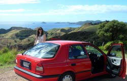 View from Tourist Drive near Matauri Bay