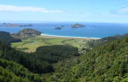 View over Matauri Bay