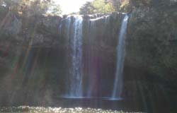 Rainbow Falls, Kerikeri