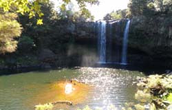 Rainbow Falls, Kerikeri