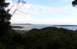 View of Paihia from up in the trees