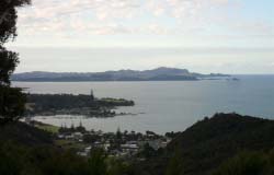 View of Paihia from up in the trees