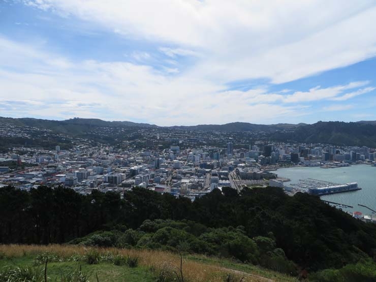 Wellington landscapes