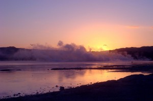 Steam covers the lakes in the volcanically active Rotorua!